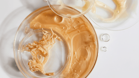Sea Moss gel maken van verse Sea Moss uit St. Lucia! | The Seamosslab