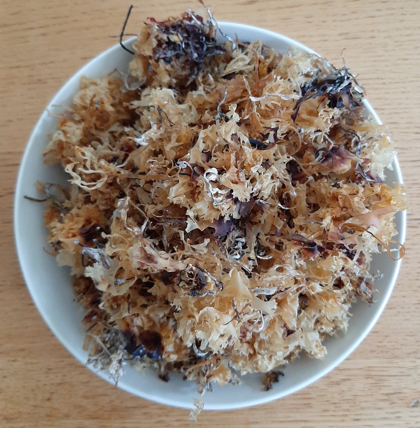 Irish Moss Gold (Chondrus Crispus) - The Seamosslab