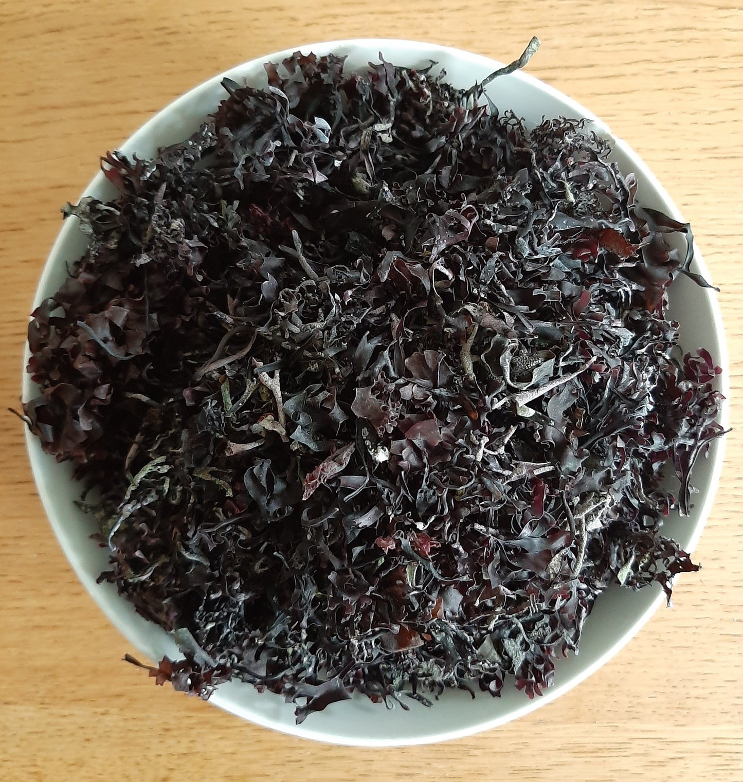 Irish Moss Purple (Chondrus Crispus) - The Seamosslab