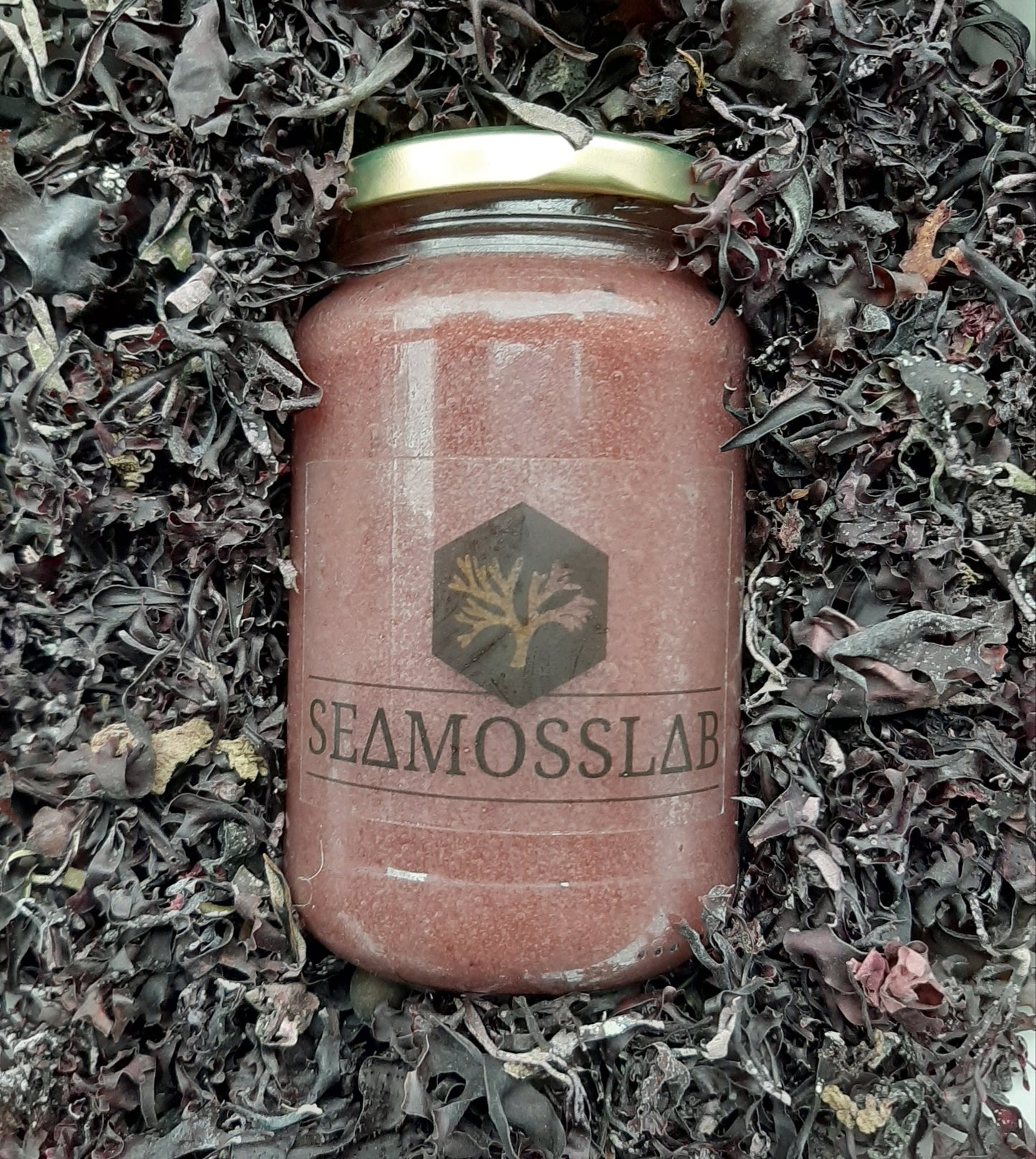 Sea Moss Gel Purple (375ml) - The Seamosslab