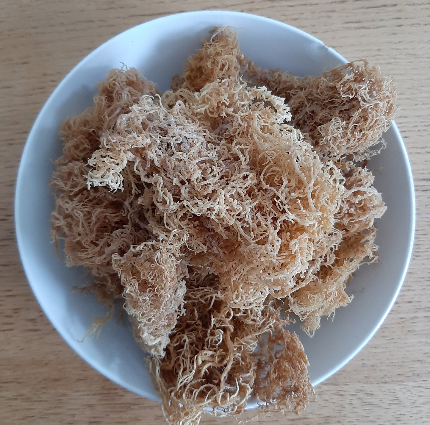 Sea Moss Gold - The Seamosslab